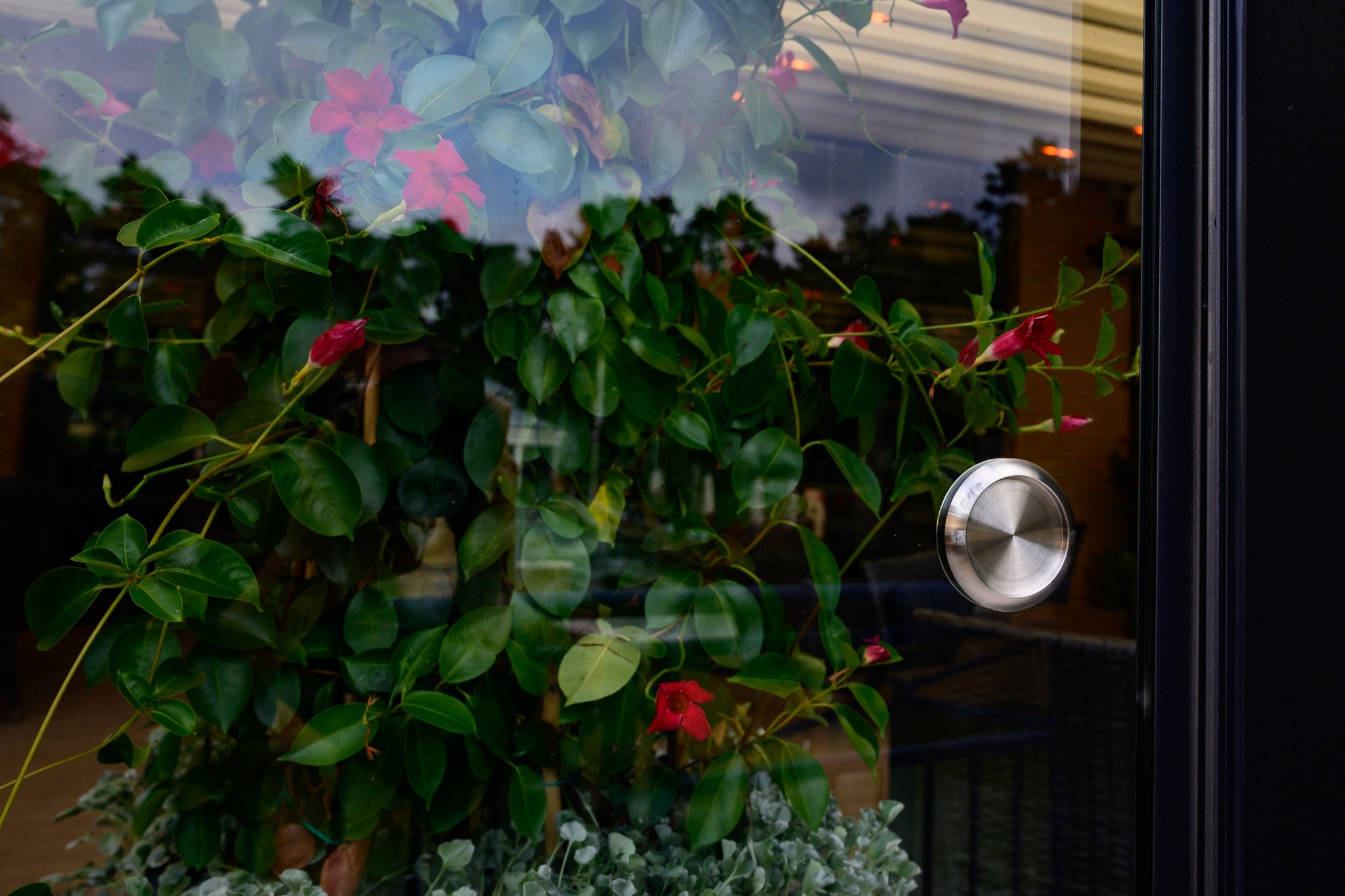 Glazen schuifwand voor afsluiten terrasoverkapping horeca CORNELS