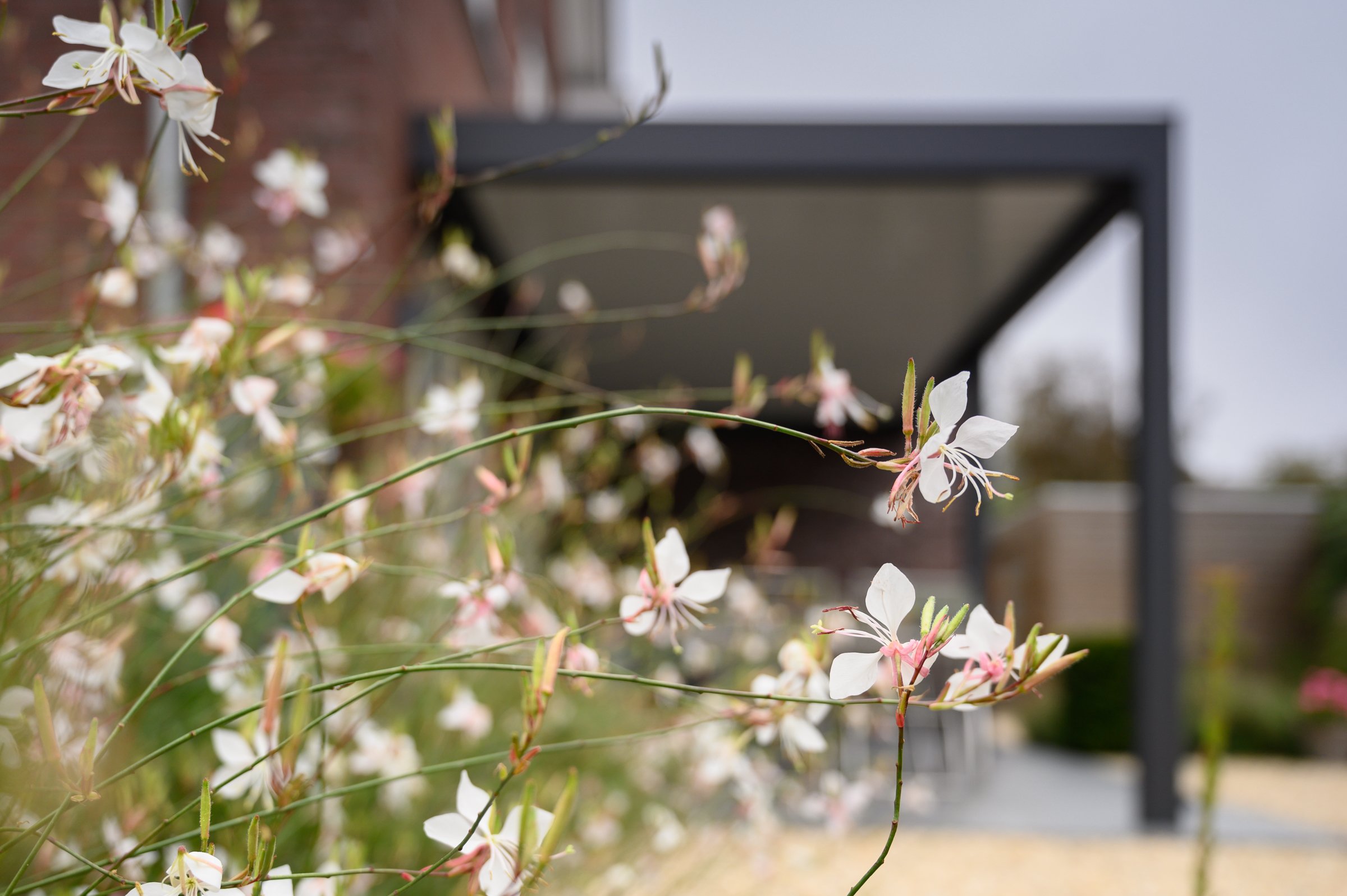 Tuin-lamellen-overkapping-inschuifbaar