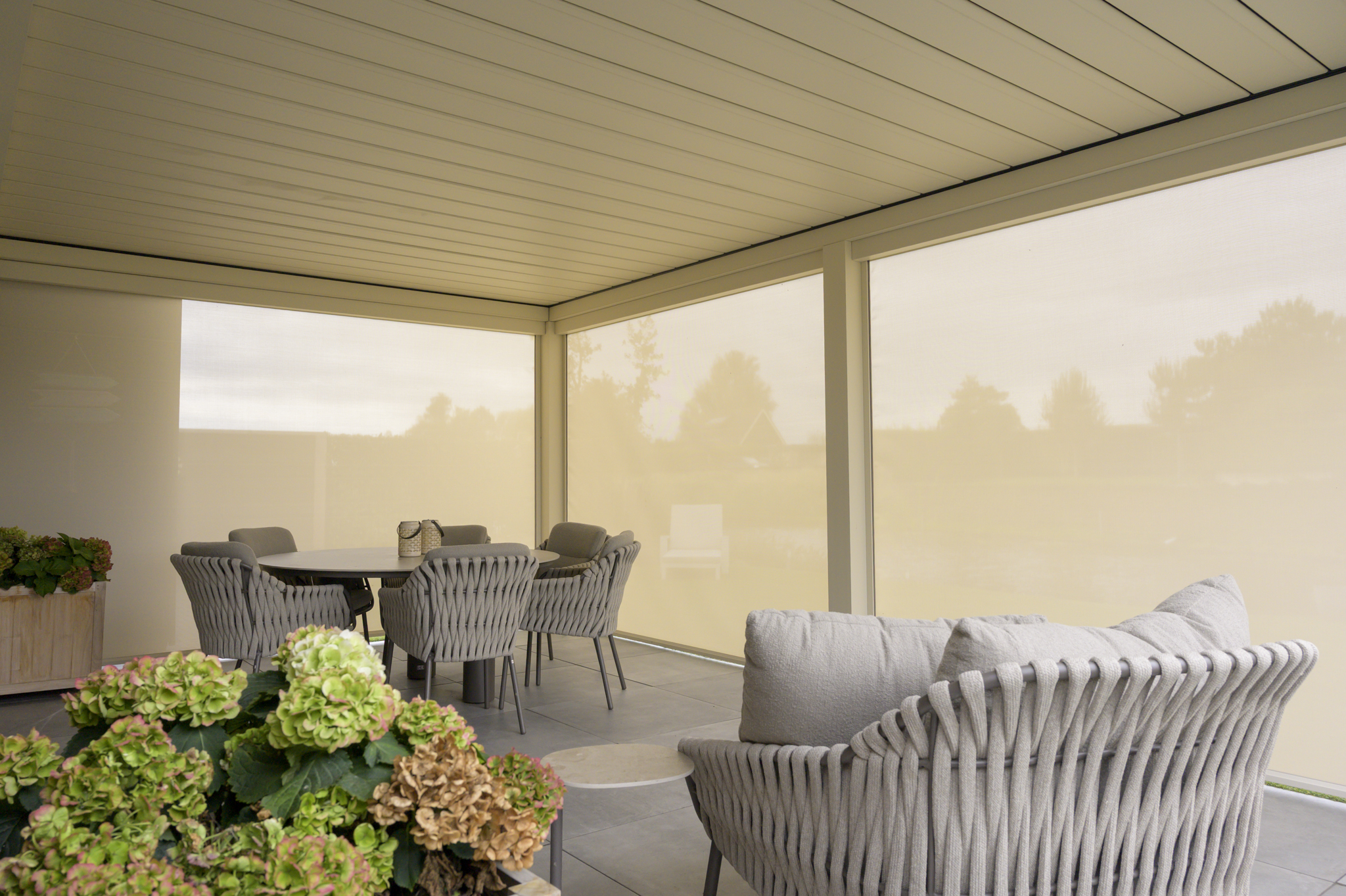 POLLUX_CORNELS_Elite_serie_oudehoorn_LR_WEB-2878